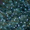 200 LED String Christmas Tree Lights - Bright White -CHRISTMAS LIGHTS SHOP 12838236 1125003463871227