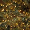 600 LED String Christmas Tree Lights - Warm White -CHRISTMAS LIGHTS SHOP 12838245 4085003462426034