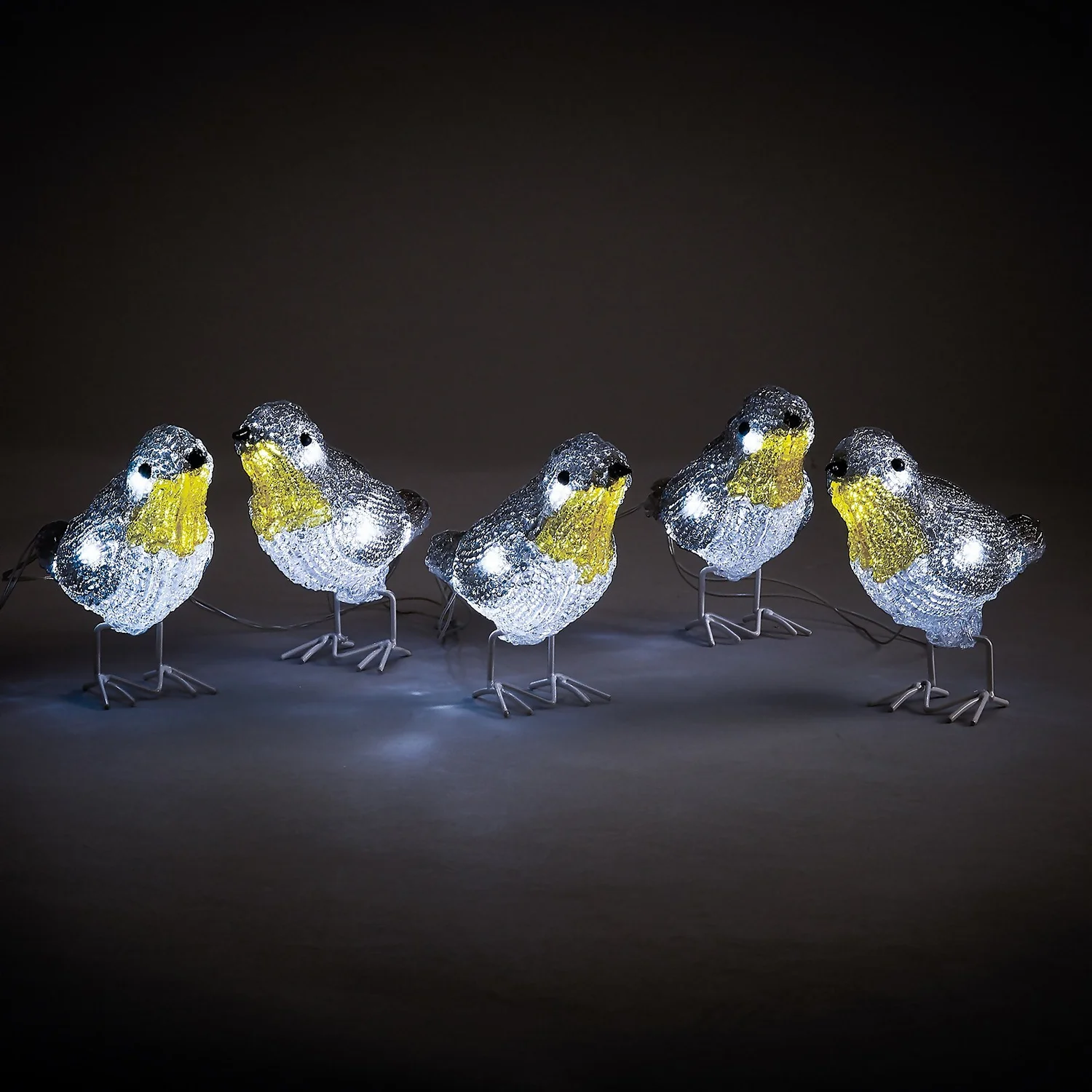 Acrylic LED Robins Outdoor Christmas Decoration - Set Of 5 (Battery Operated) 2 Acrylic LED Robins Outdoor Christmas Decoration - Set Of 5 (Battery Operated)
