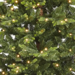 7ft Montana Premium Pre-lit Artificial Christmas Tree -CHRISTMAS LIGHTS SHOP 13675459 1304991307399792